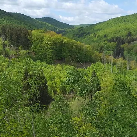 In Nahe Skipisten & Edersee Prázdninový dům Frankenau